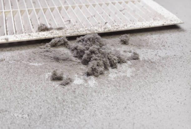 Best HVAC System Cleaning  in Ferrum, VA
