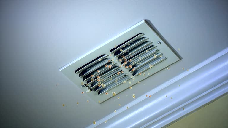 Best Ductwork Cleaning Services  in Ferrum, VA
