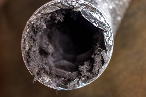 Best Air Duct Cleaning Near Me  in Ferrum, VA